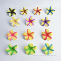 Classic Colorful EVA Foam Plumeria Hair Pick